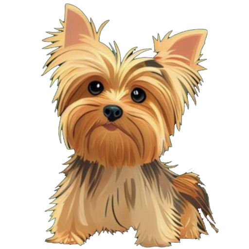 S O L I T A R I O_avatar