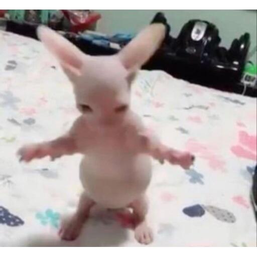 sofi_espinosa_avatar